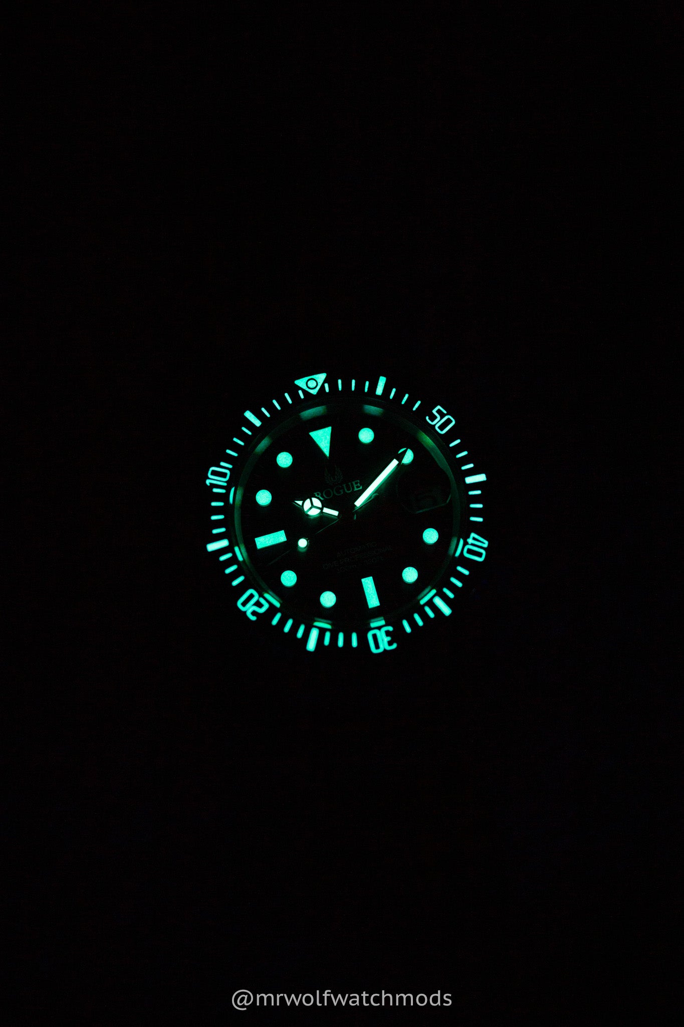 BLUE DIVE PROFESSIONAL
